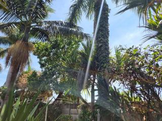 The Leafy Haven- outdoor braai & party space - Harare - 2