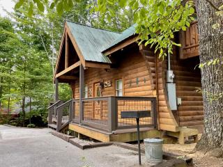 1BR w pool table-hottub-1free ticket to Dollywood - Sevierville - 3