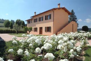 Tenuta Borgo al Sole - San Miniato - 3