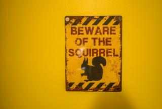 12 & 14 On the Hill Aberfoyle, twin holiday cottages in Scenic Loch Lomond & Trossachs National Park - 1