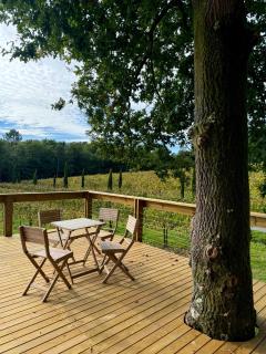 Cabañas Enoturismo María Manuela - 9