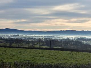 Gîte de la pie-grièche - 1