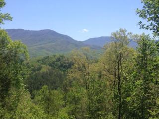 Pool table, pet friendly, hot tub, & mountain view, 3 bedrooms - Sevierville - 0