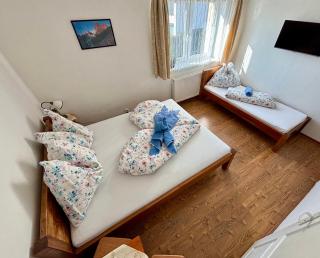 Villa Slnecnica - Nová Lesná - 8