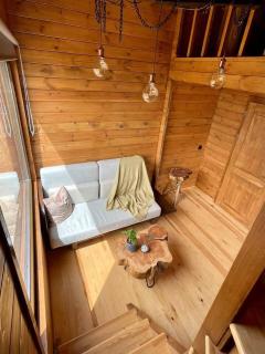 Mountain Eco Shelter 4 - Funchal - 7