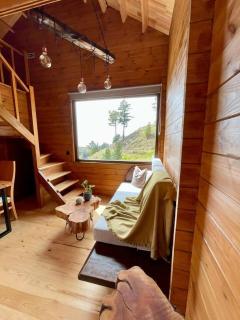 Mountain Eco Shelter 4 - Funchal - 6