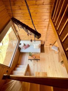 Mountain Eco Shelter 6 - Funchal - 8