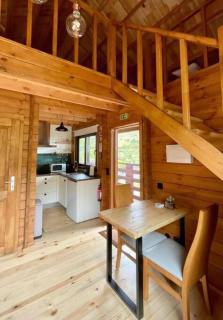 Mountain Eco Shelter 9 - Funchal - 5