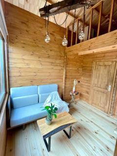 Mountain Eco Shelter 7 - Funchal - 6