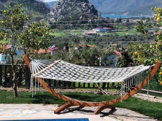 Villa Hemithea - Hisarönü - 6