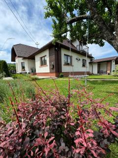 Chalet Bora - Vişeu de Jos - 0