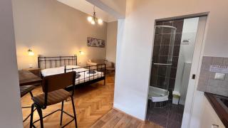 Old Town - Dusni Apartments - Prague - 6