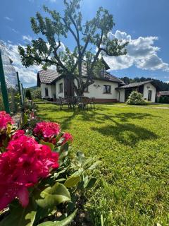 Chalet Bora - Vişeu de Jos - 9