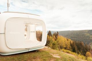 Zwischen Baumwipfeln träumen, einzigartiges Naturerlebnis - 2