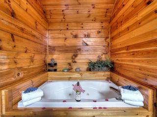 Cozy log cabin very close to Pigeon Forge Parkway with a hot tub and a jacuzzi tub! - Pigeon Forge - 6