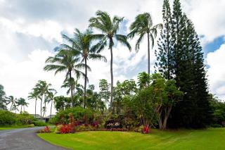 Alii Kai II 10A - Princeville - 9