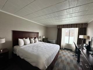 Finger lakes inn & suites - Bath - 7