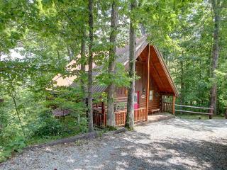 Check out this MOUNTAIN VIEW from the hot tub HONEY BEAR HIDEAWAY! - Sevierville - 3