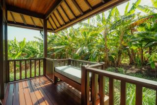 Ecolodge Anacardier- Bungalow 2 - Saint-François - 3