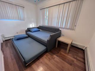 Modern and spacious villa close to NYC/Brooklyn/Queens/Garden City - Westbury - 1