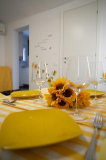 Girasole - Chioggia - 0