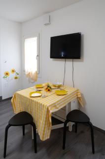 Girasole - Chioggia - 3