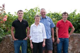 Felshof - Weingut & Gästehaus - Sommerhausen - 8