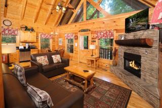 Dog friendly 2BR log cabin- hot tub & game room! - Sevierville - 9