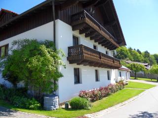FH-Petzi - Waldkirchen - 7