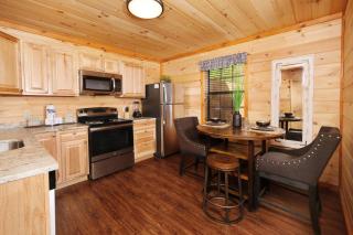 Studio style adorable, dog friendly log cabin just minutes from Pigeon Forge Parkway! - Pigeon Forge - 2