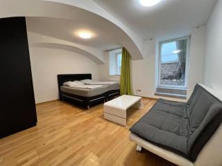 Stylish 1BR Apartment in a Central Location - Vienne - 8