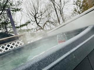 Zenitude 2, Beachfront chalet, hot tub,Lac Simonet - Saint-André-Avellin - 9