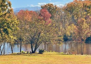Firepit, close to parkway, hot tub, tons of games! - Pigeon Forge - 4