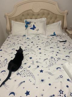 Teilor Apartament - Piteşti - 2