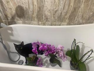 Teilor Apartament - Piteşti - 1
