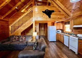 1BR log cabin sleeps 6- walking distance to Wonderworks and 5 miles to Dollywood! - Pigeon Forge - 7