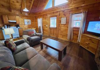 1BR log cabin sleeps 6- walking distance to Wonderworks and 5 miles to Dollywood! - Pigeon Forge - 6