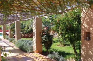 Auberge Tinit - Er Rachidia - 4