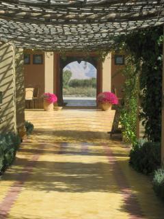 Auberge Tinit - Er Rachidia - 7