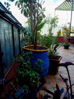 Riad Idrissi - Meknès - 4