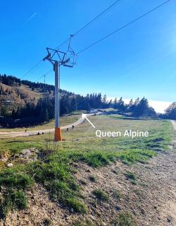 Studio Queen Alpine - Cerklje na Gorenjskem - 3
