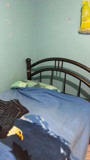 Departamento Metepec - 2