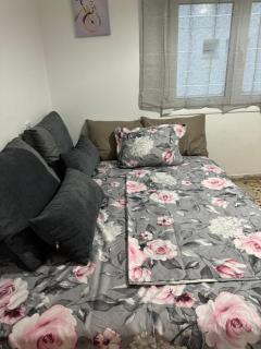 Beautiful and Remodeled Apartment 1A - Mitilene - 2
