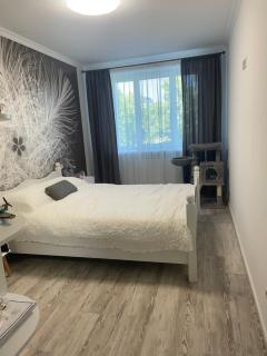 Lux apartment - - 4