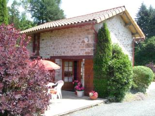 Pretty cottage with private pool and beautiful gardens - Marval - 0