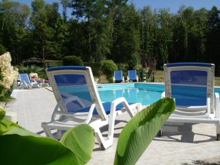 Pretty cottage with private pool and beautiful gardens - Marval - 9