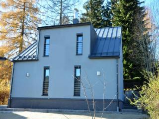 Beautiful Holiday Home in Bohemian near Forest - Železná Ruda - 6