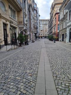 Golden Villa - in the Heart of Old Town Bucharest - Bucarest - 3