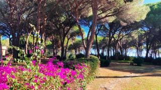 Sisters' House - Pula - 2