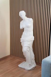 Corso Vittorio Emanuele GrandSuite - Best position in Milan next to Duomo - Milan - 2